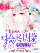 快穿白月光：boss，捡起节操